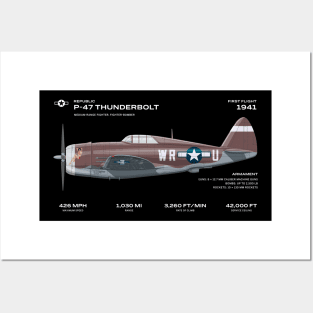 ww2 fighter plane Republic p-47 thunderbolt Posters and Art